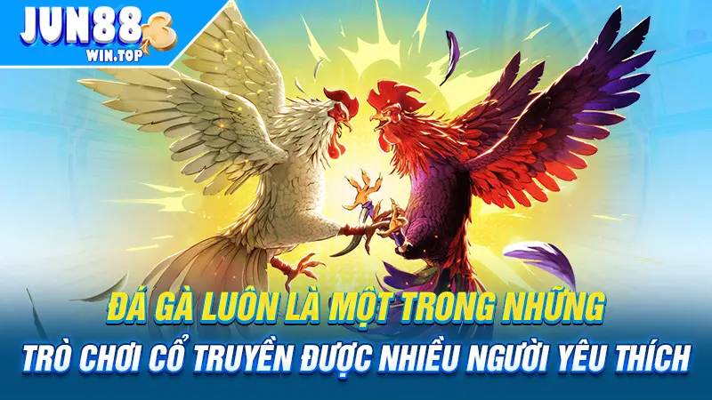 Đá gà luôn là một trong những trò chơi cổ truyền được nhiều người yêu thích