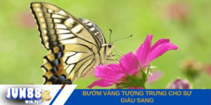 buom vang tuong trung cho su giau sang phu quy va thinh vuong