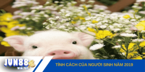 tinh cach cua nguoi sinh nam 2019