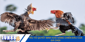 yeu to quyet dinh kha nang chien dau cua ga choi chinh la loi da cua chung